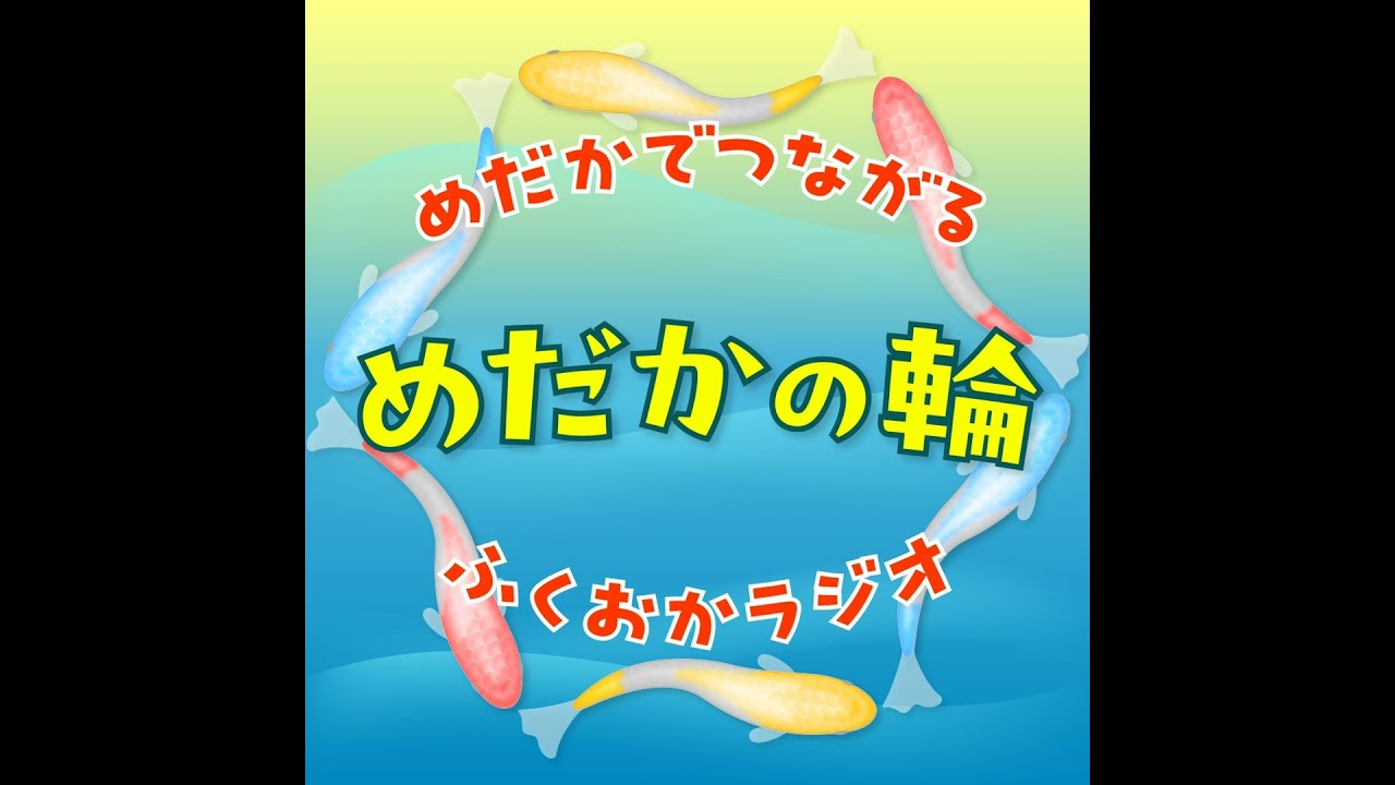 メダカ初心者が半年で激変！？ビオトープ成功とアライグマ被害のリアル体験談【福岡】