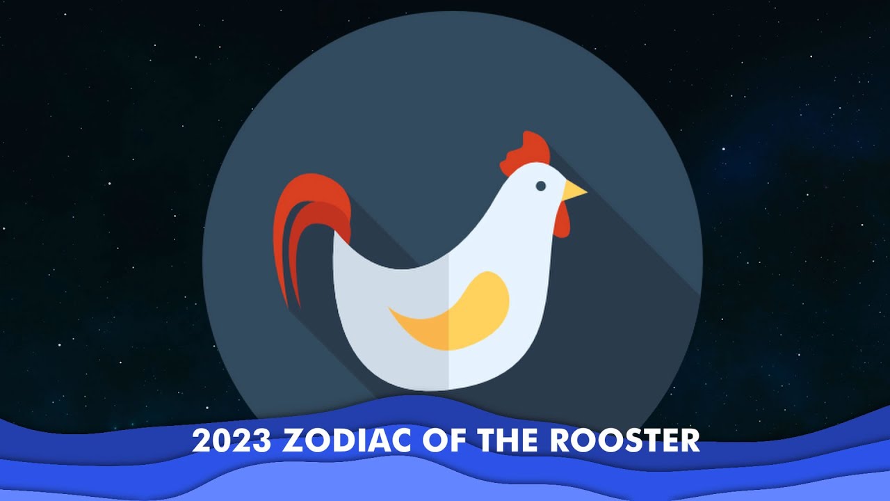 travel china rooster 2023