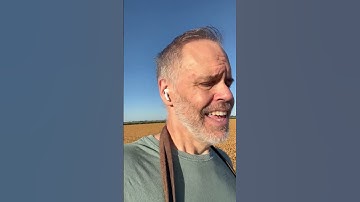 Word Count! #authors #writer #authorsofinstagram #writers #writerslife #authortube #writertube