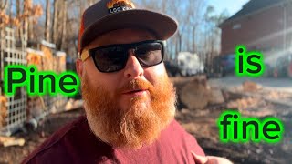 Splitting pine on the Wolferidge, with the neighbor!