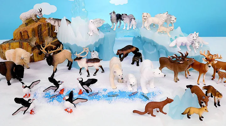 Fun Arctic and Tundra Diorama and Animal Figurines