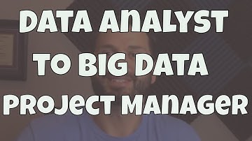 Data Analyst to Big Data Project Manager