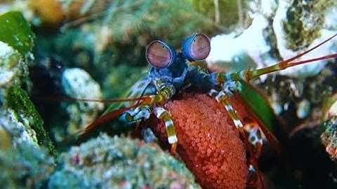 Explore the Power of Video