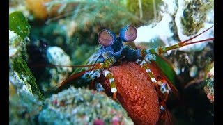 Explore The Power Of Video