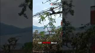 Poda bloquea banqueta y obliga a peatones a bajar a la calle | CPS Noticias Puerto Vallarta