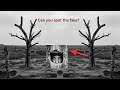 The British Fake Tree That Hid Snipers Inside No Man's Land for Weeks