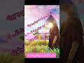 فرحة الزهراء عليها السلام فرحه الزهره 9 ربيع الاول متباركين فرحة ظهور الامام المهدي عج عيد ال محمد