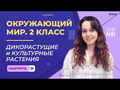 Видеоурок 13. Дикорастущие и культурные растения. Окружающий мир 2 класс