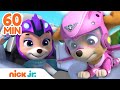 Paw patrol skye girl power rescues w coral cat pack  everest  1 hour compilation  nick jr