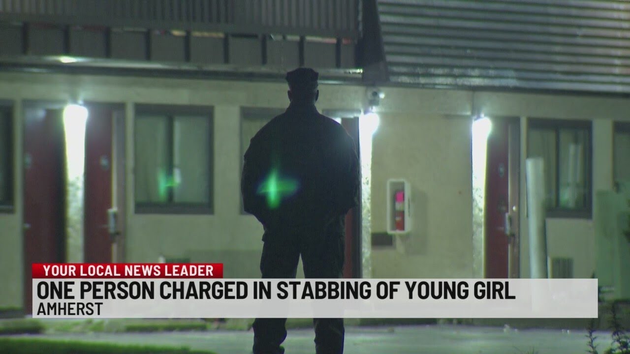 23-year-old arrested after allegedly stabbing juvenile at Red Roof Inn in Amherst
