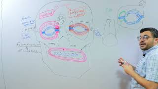 INTRODUCTION Module: FACE PART 1