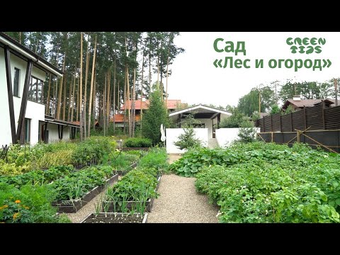 🌿 Сад «Лес и огород»