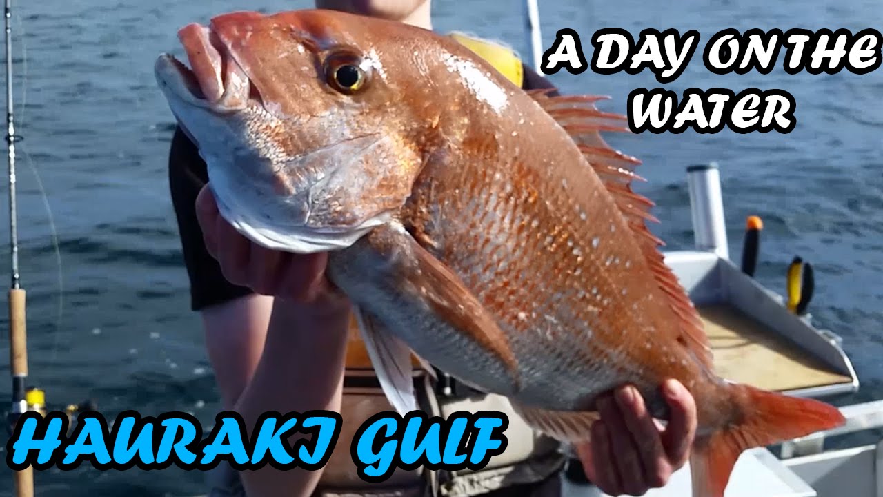 A Day on the Water: Hauraki Gulf - 14th August 2016
