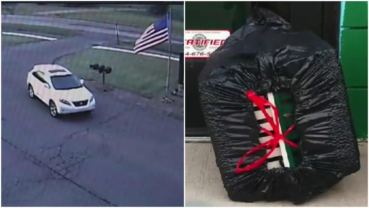 This Trash Bag Was Found Dumped On An Animal Shelter’s Doorstep, And Inside Was A Poor Suffering Pup