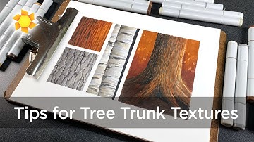 How to Draw Tree Trunk Bark Textures