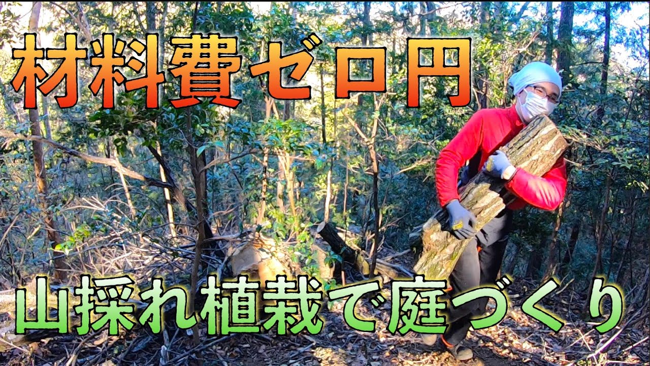 丸太を運んで満身創痍 山から草木を持ち帰って庭いじりしかしたくない【山開拓】#53