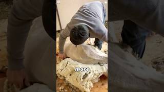 Shearing sheep#amazing #didyouknow #knowledge #fyp #amazing