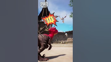 New companion spectating system | PUBG MOBILE Pakistan Official