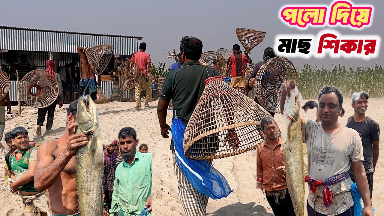 Village people catching fish with Polo from the Beel 🐟🌾 | Traditional fishing skill!