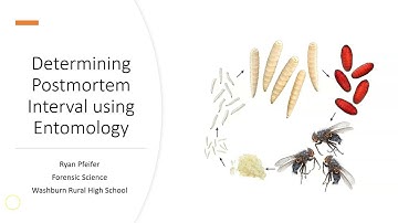 Determining Postmortem Interval using Entomology