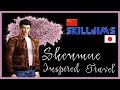Shenmue inspired travel  with skilljim trailer