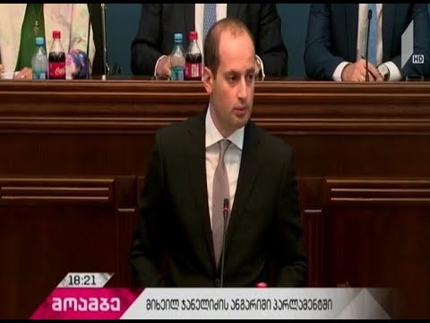 მიხეილ ჯანელიძემ დიასპორის საკითხებზე მომზადებული ანგარიში წარადგინა