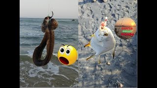 Sea Shore Hook Fishing || Catching EEL Fish & Golden Pomfret Fish || South Indian Fishing