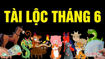 Tử Vi Tài Lộc Tháng 6 Của 12 Con Giáp Ai Tiền Đầy Tay Ai Lo Cháy Túi - Tử vi 12 con giáp