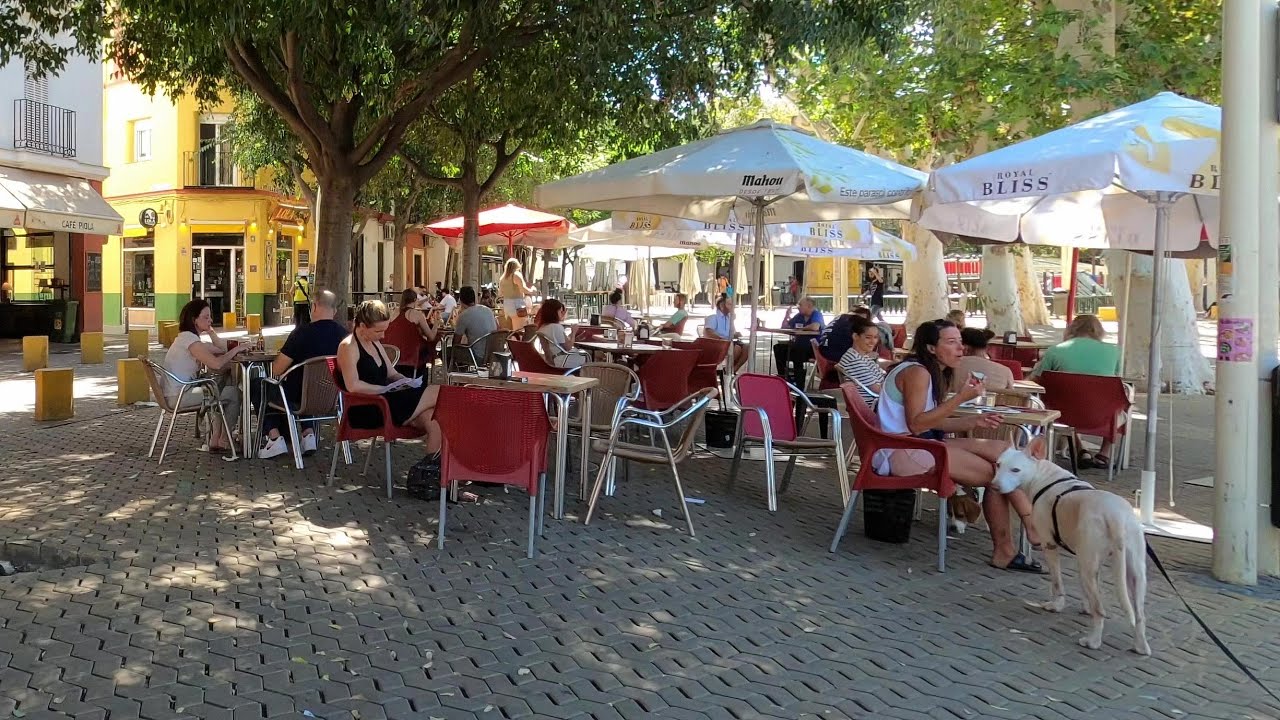 Walking From Alameda To Macarena Seville 4k Virtual Walking Tour walking-from-alameda-to-macarena-seville-4k-virtual-walking-tour