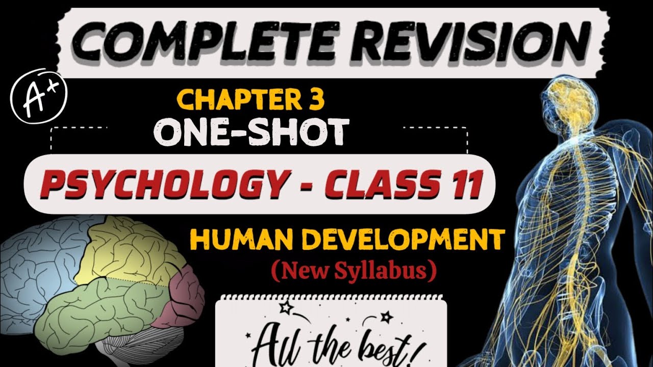 Human Development | One-Shot | Class 11 Psychology Revision | Detailed ...