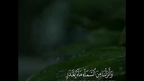 القارئ ياسر الدوسري تلاوة هادئة ♡ ارح قلبك 💙 حالات واتس اب { ستوريات قرآن }Quran status