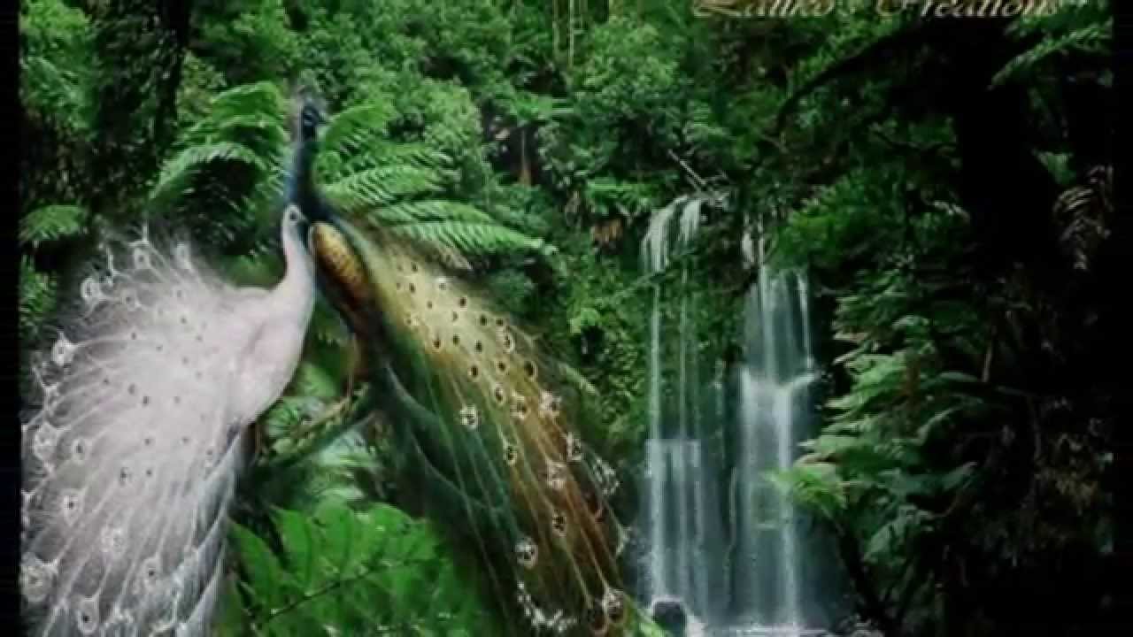 красивое Красивий мінєт