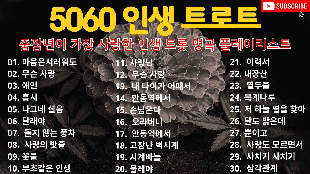 추억의 트로트 명곡 모음│하루 종일 듣기 좋은 노래 모음│흘러간 옛노래 뽕짝 메들리 가사 포함│중장년이 가장 사랑한 인생 트롯 명곡 플레이리스트