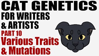 Cat Genetics for Writers & Artists part 10: Various Traits & Mutations [CC]