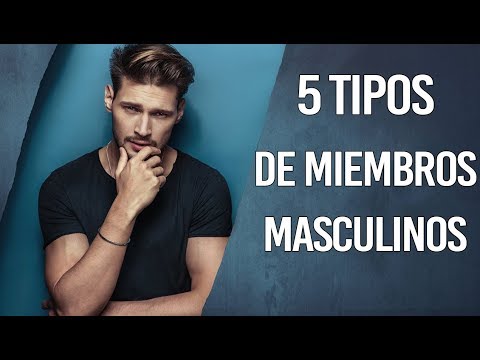 Miembro tamano agrandar el del