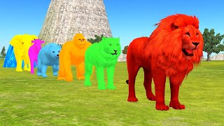 Paint and Animals Gorilla, Elephant, Cow, Tiger, Lion, Brown Bear - Fountain Crossing Animals Game