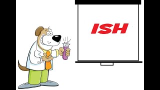 Use 'ish' to sound more fluent and cool
