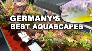 GERMANY&#39;S BEST freshwater AQUASCAPES 4k