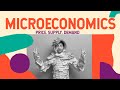ACCA AB WEEK 3 (c) MICROECONOMICS : PRICE ELASTICITY OF DEMAND - POINT ELASTICITY - ARC ELASTICITY