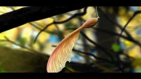 AMBISONIC Leaf - Dolby Atmos spatial audio 360° video vr 4.0 Surround Sound