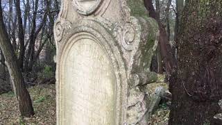 Visiting a pioneer cemetery— with orbs!!