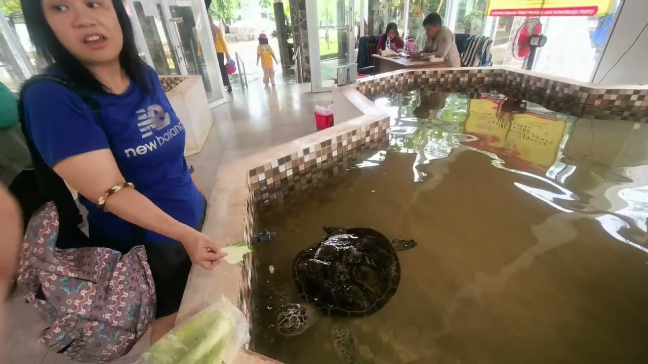 Sukabumi Pantai Pangumbahan (Ujung Genteng) 20260117