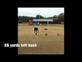 Shane hynes accuracy workout