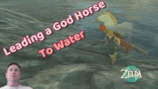 The God Horse Quest in the Faron Grasslands - Part One - Tears of the Kingdom - Legend of Zelda screenshot 4