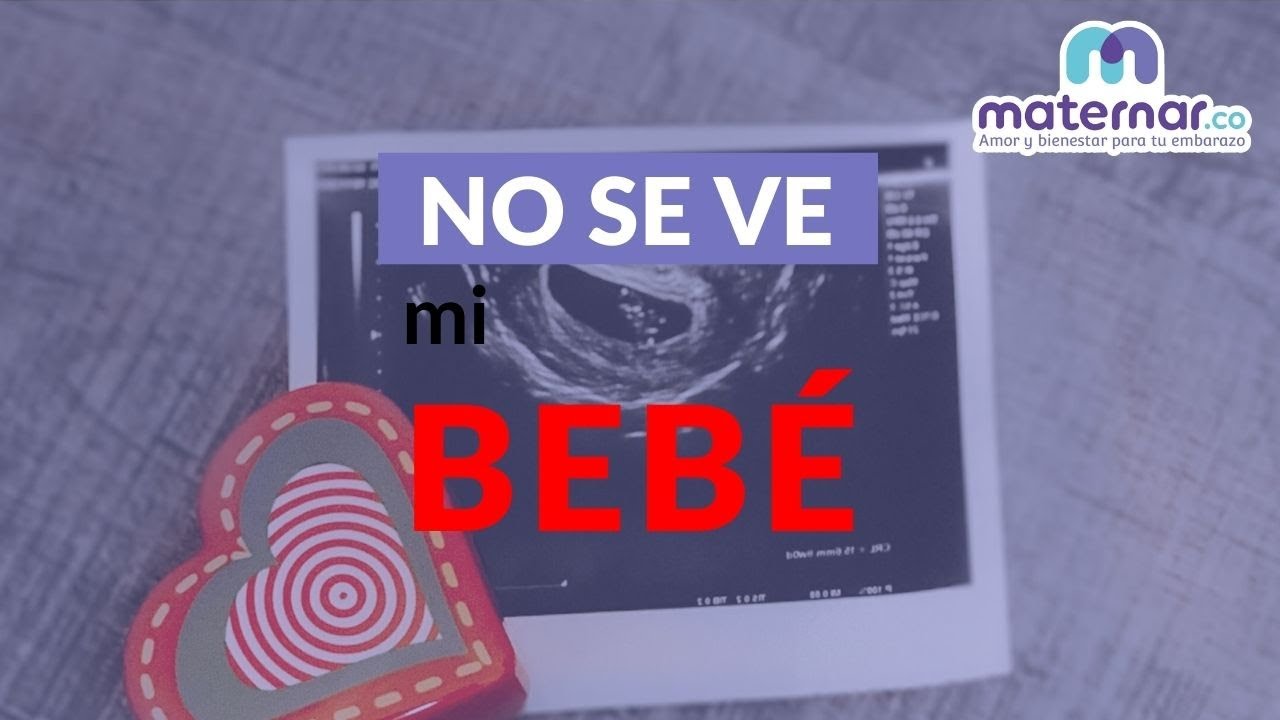 Primera ecografía y no se ve mi bebé ¿Qué pasa? | Maternar.co