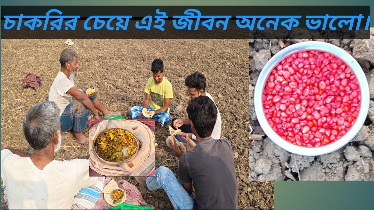 চাকরির চেয়ে এই জীবন অনেক ভালো । @Faruk Agro journey 