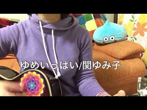 ゆめいっぱい/関ゆみ子
