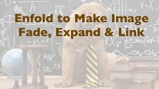 Make Image in Enfold Fade, Expand & Link