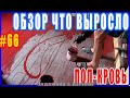 #66 Крашу пол в кровь. Магазин для пчел. Вырос мега-муравейник. Обзор растений - Художник в ДЕРЕВНЕ