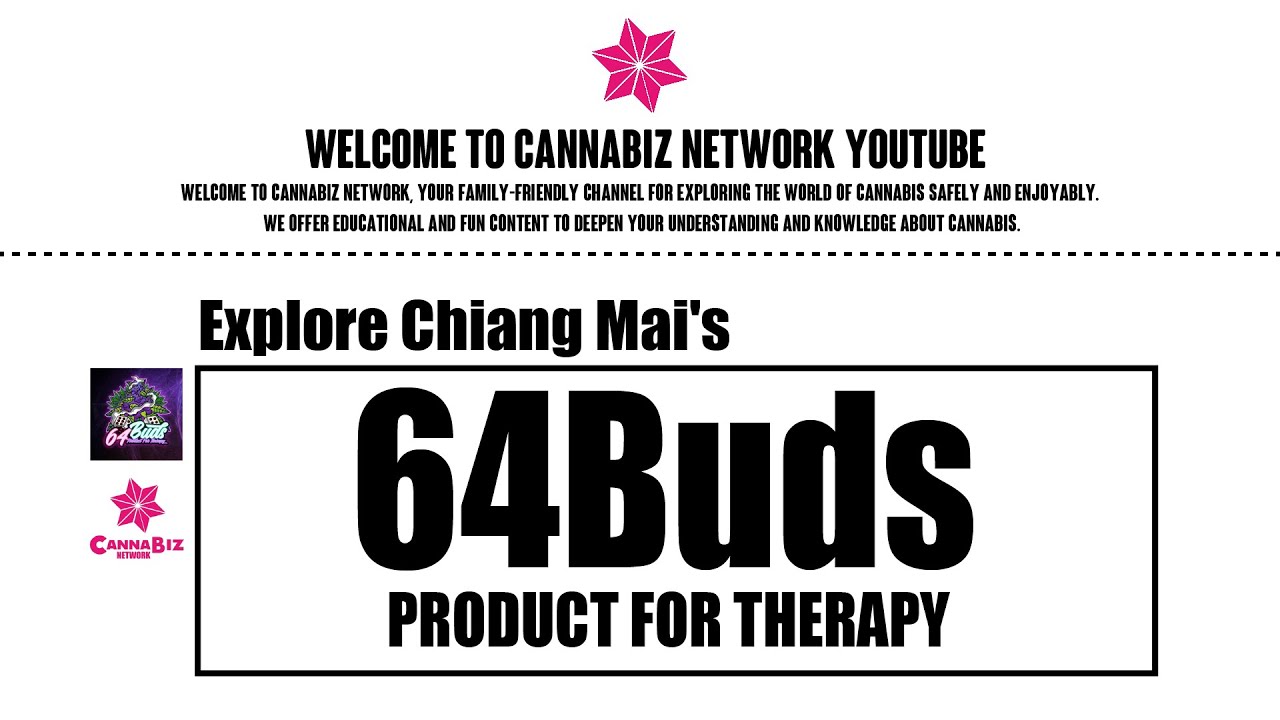 Exploring 64BUDS: Chiang Mai's Unique Cannabis Experience | Cannabiz Network